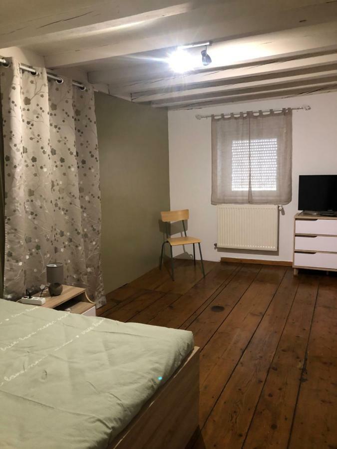 Spacieux Appartement 2/6 Pers 110M² Proche Cnpe Lagnieu Eksteriør bilde